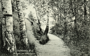 Senftenberg
